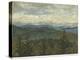 Blue Ridge View II-Megan Meagher-Stretched Canvas