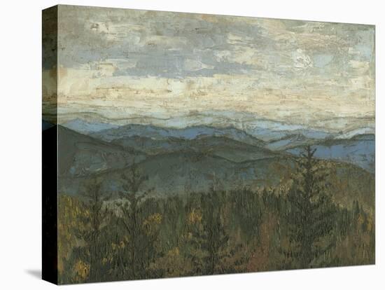 Blue Ridge View II-Megan Meagher-Stretched Canvas