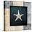 Blue Sea Bumpy Star-LightBoxJournal-Premier Image Canvas