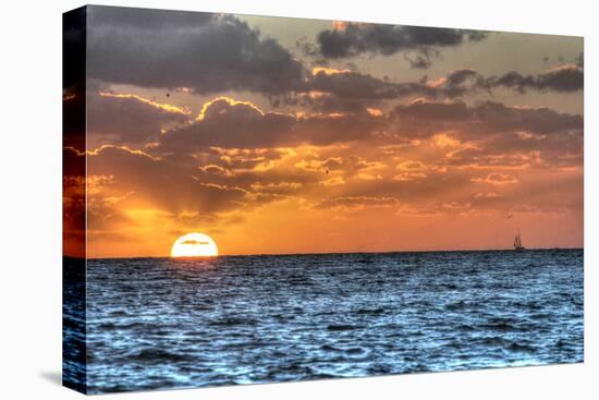 Blue Sea Gulls and Clipper-Robert Goldwitz-Premier Image Canvas