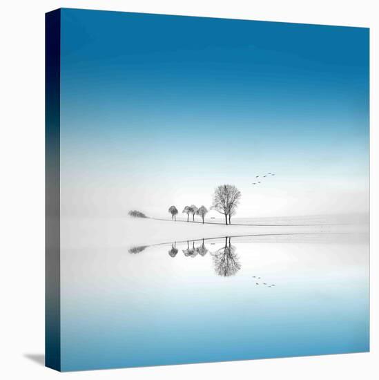 Blue Season-Philippe Sainte-Laudy-Premier Image Canvas