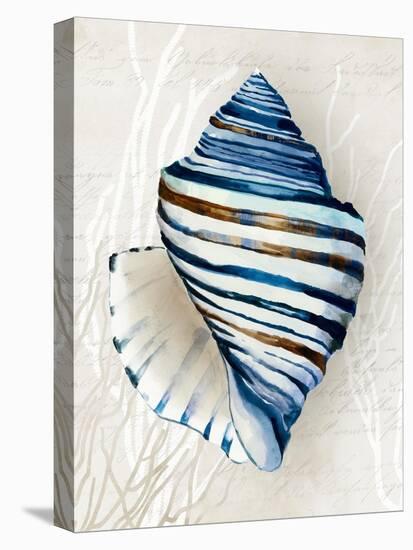 Blue Shell Series III-Aimee Wilson-Stretched Canvas