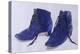 Blue Shoes, 1997-Alan Byrne-Premier Image Canvas