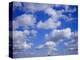 Blue Sky and Puffy White Clouds-Fraser Hall-Premier Image Canvas