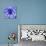 Blue Spider-Teofilo Olivieri-Premier Image Canvas displayed on a wall