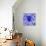 Blue Spider-Teofilo Olivieri-Premier Image Canvas displayed on a wall