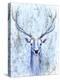 Blue Spirit Deer-Michelle Faber-Premier Image Canvas