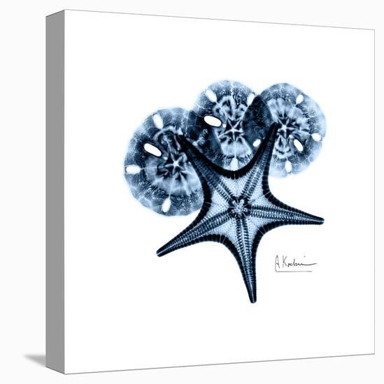 Blue Starfish 1-Albert Koetsier-Stretched Canvas