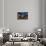 Blue Sunset in Antique Restaurant I-Nish Nalbandian-Stretched Canvas displayed on a wall