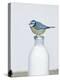 Blue Tit- Perched on Top of Milk Bottle-null-Premier Image Canvas