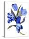 Blue tulip-Hiroyuki Izutsu-Premier Image Canvas