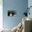 Blue Velvet (photo)-null-Stretched Canvas displayed on a wall