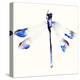 Blue & Violet Dragonfly-Karin Johannesson-Stretched Canvas