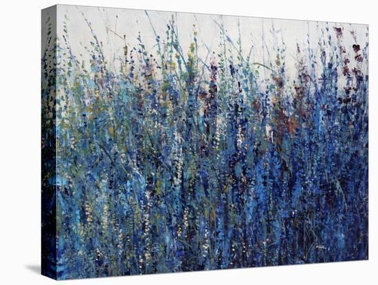 Blue Vision-Tim O'toole-Premier Image Canvas