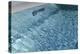 Blue Water 7870-Rica Belna-Premier Image Canvas