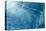 Blue Water 9157-Rica Belna-Premier Image Canvas