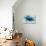 Blue Wave-Kari Taylor-Premier Image Canvas displayed on a wall