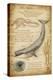 Blue Whale Davinci-Lantern Press-Stretched Canvas