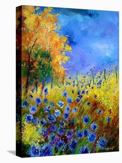 Blue wild flowers with an orange tree-Pol Ledent-Stretched Canvas