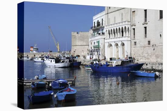 Blue Wooden Boats and Fishing Vessels in the Walled Harbour of Monopoli in Apulia, Italy, Europe-Stuart Forster-Premier Image Canvas