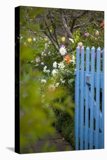 Blue Wooden Door in the Allotment Garden-Brigitte Protzel-Premier Image Canvas
