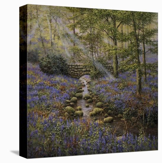 Bluebell Bridge-Bill Makinson-Premier Image Canvas