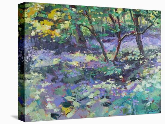 Bluebell Glade-Sylvia Paul-Premier Image Canvas