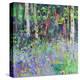 Bluebell Time-Sylvia Paul-Premier Image Canvas