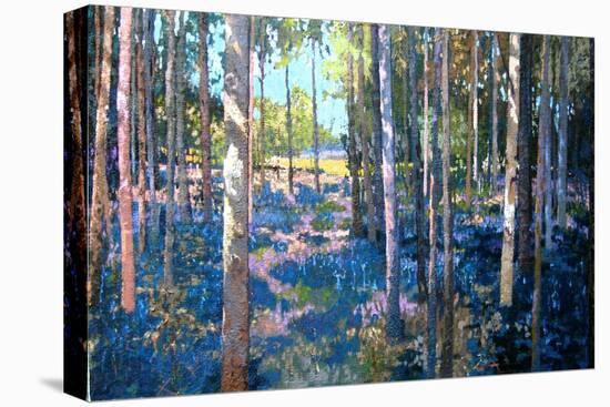 Bluebell Wood, 2009-Martin Decent-Premier Image Canvas