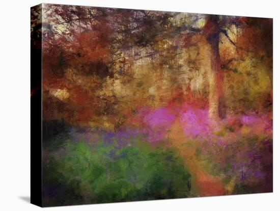 Bluebells at Calke Abbey-Mark Gordon-Premier Image Canvas