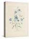 Bluebells, from 'Choix Des Plus Belles Fleurs Et Des Plus Beaux Fruits', 1827-33-Pierre-Joseph Redouté-Premier Image Canvas