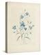 Bluebells, from 'Choix Des Plus Belles Fleurs Et Des Plus Beaux Fruits', 1827-33-Pierre-Joseph Redouté-Premier Image Canvas