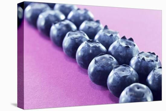 Blueberries in Rows (Close-Up)-Kröger and Gross-Premier Image Canvas