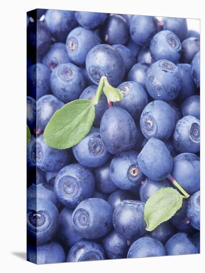 Blueberries-Vladimir Shulevsky-Premier Image Canvas