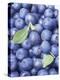 Blueberries-Vladimir Shulevsky-Premier Image Canvas