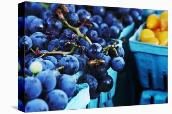 Blueberries-null-Stretched Canvas