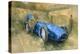 Bluebird at Brooklands-Peter Miller-Premier Image Canvas