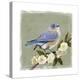 Bluebird Branch I-Victoria Borges-Stretched Canvas