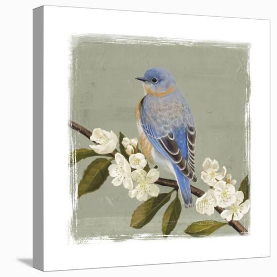 Bluebird Branch II-Victoria Borges-Stretched Canvas