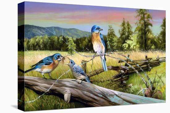 Bluebird Meadow-Spencer Williams-Premier Image Canvas
