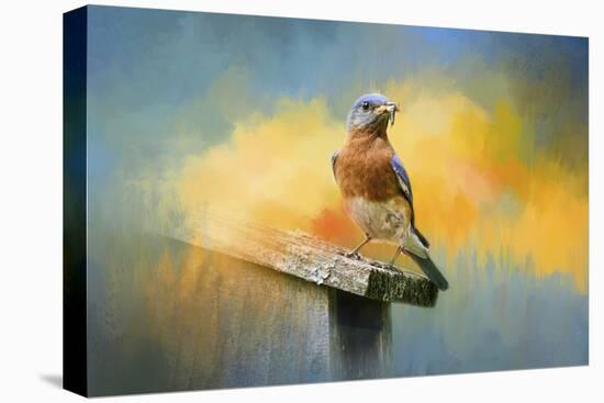 Bluebird Mealtime-Jai Johnson-Premier Image Canvas