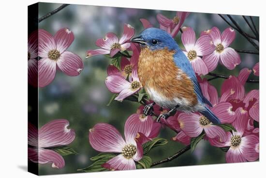 Bluebird/Pink Dogwood-William Vanderdasson-Premier Image Canvas