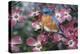 Bluebird/Pink Dogwood-William Vanderdasson-Premier Image Canvas