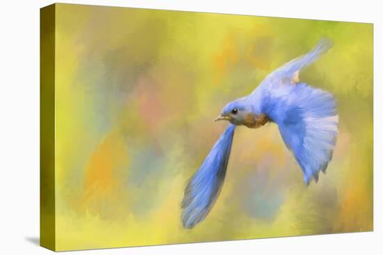 Bluebird Spring Flight-Jai Johnson-Premier Image Canvas