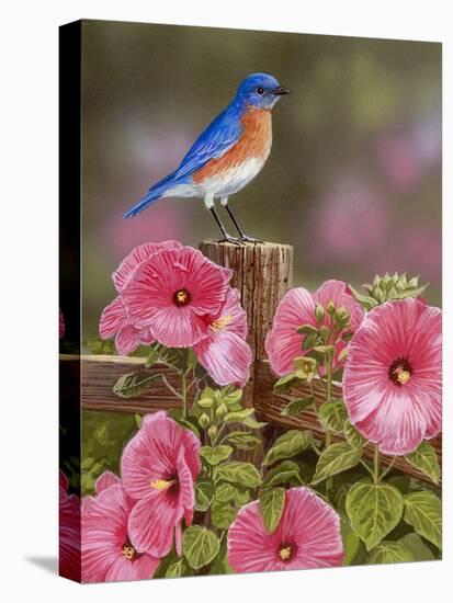 Bluebird with Hibiscus-William Vanderdasson-Premier Image Canvas