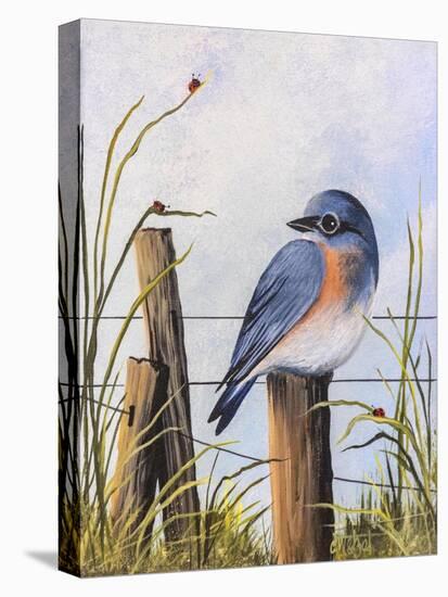 Bluebird-Debbi Wetzel-Premier Image Canvas