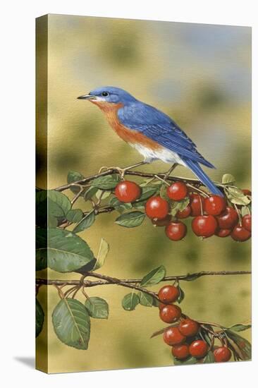 Bluebird-William Vanderdasson-Premier Image Canvas