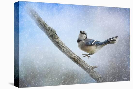 Bluejay in the Snow-Jai Johnson-Premier Image Canvas