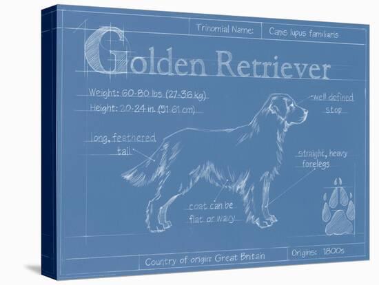 Blueprint Golden Retriever-Ethan Harper-Stretched Canvas