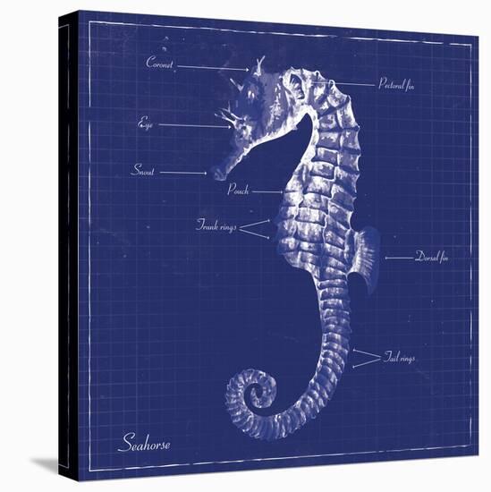 Blueprint Seahorse-Piper Ballantyne-Stretched Canvas